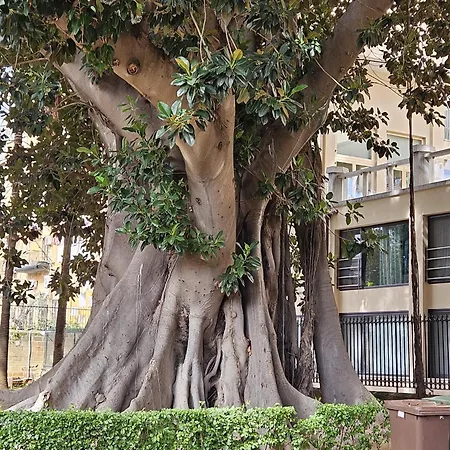 All'ombra Di Porta Nuova Apartment Palermo