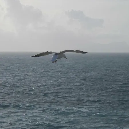 All'ombra Di Porta Nuova *