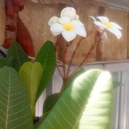 アパート All'ombra Di Porta Nuova